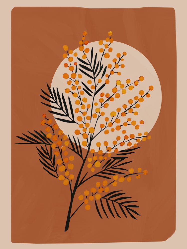 The Mimosa 2
