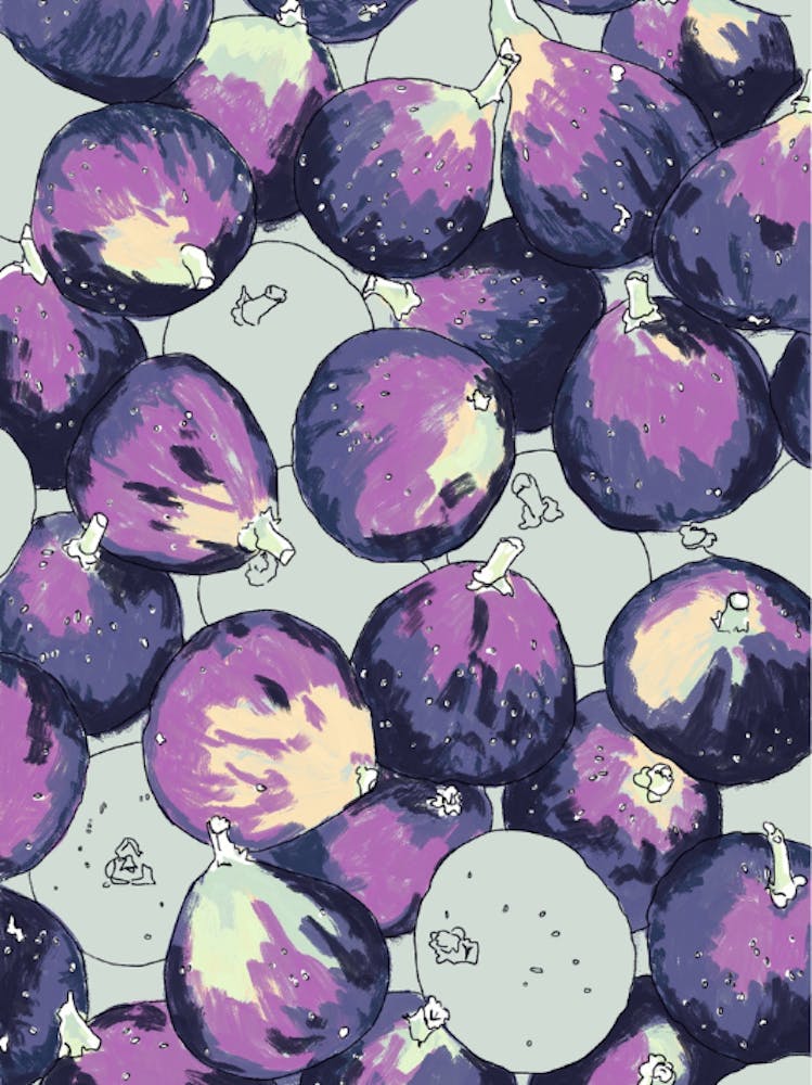 Figs Illustration