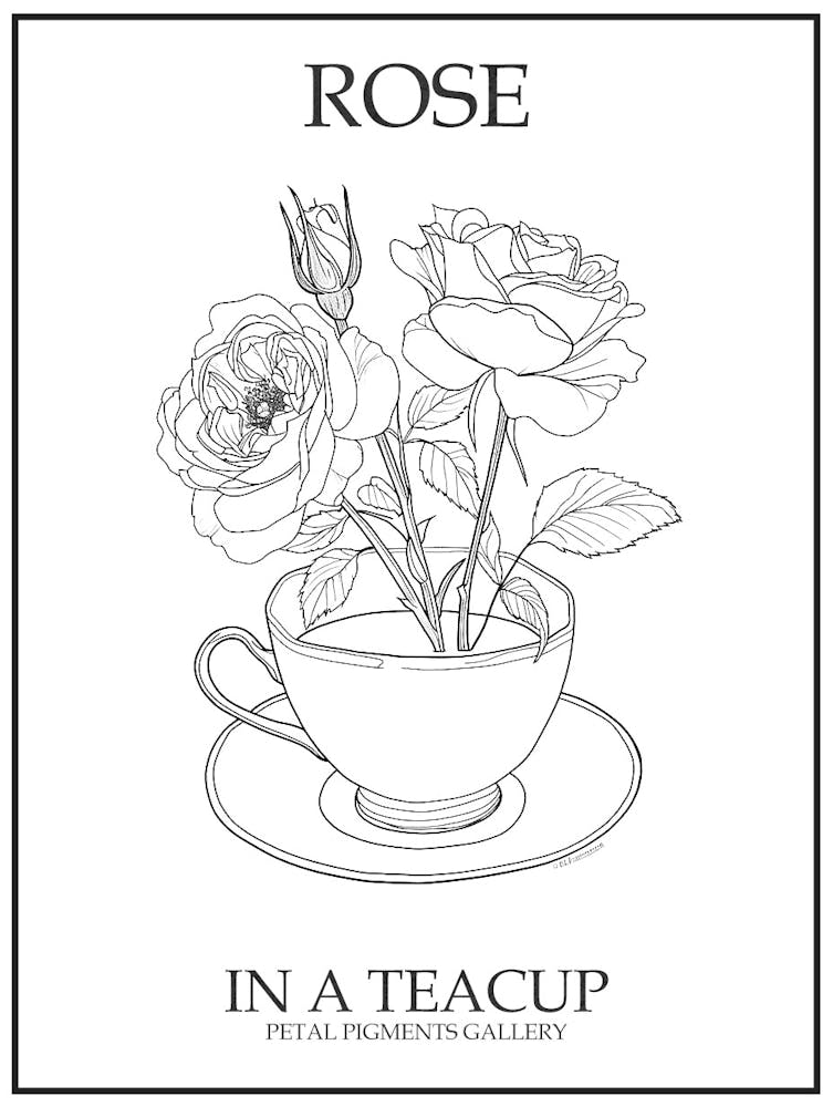 Rose In A Teacup Line Drawing 3 Poster