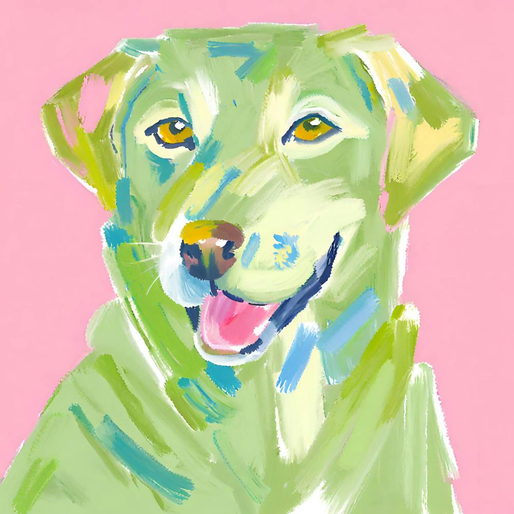 Labrador Retriever 03