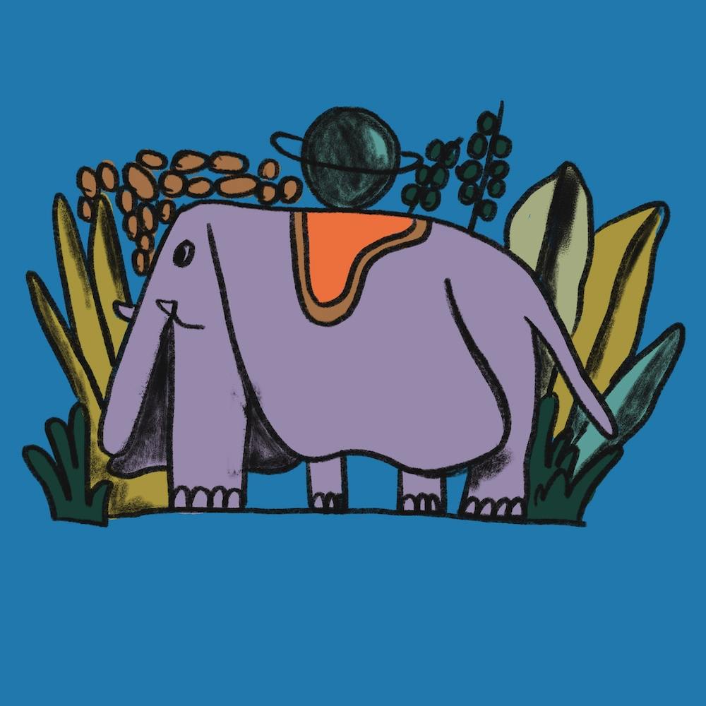 Elephant