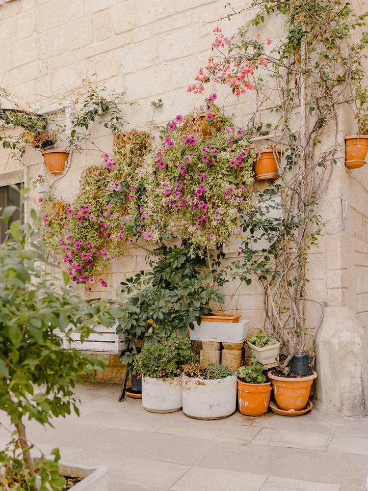 Potted Plants In A Courtyard, street in Puglia, Italy | travel photography