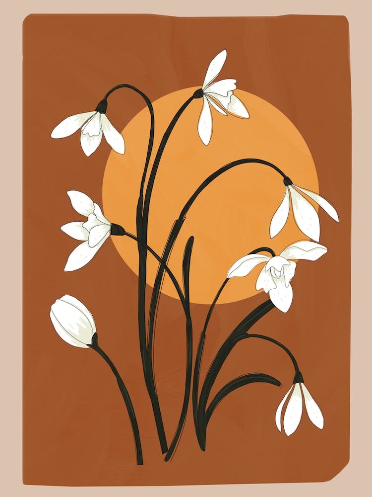 Beautiful Snowdrop Flowers 2 1