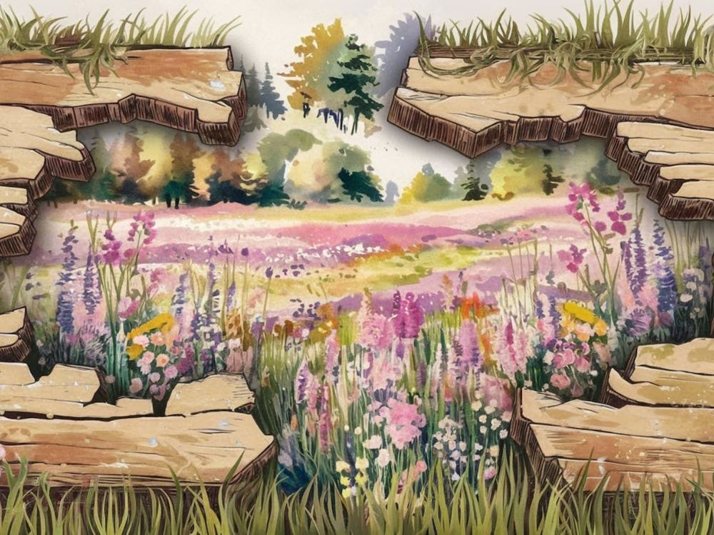 Wildflowers