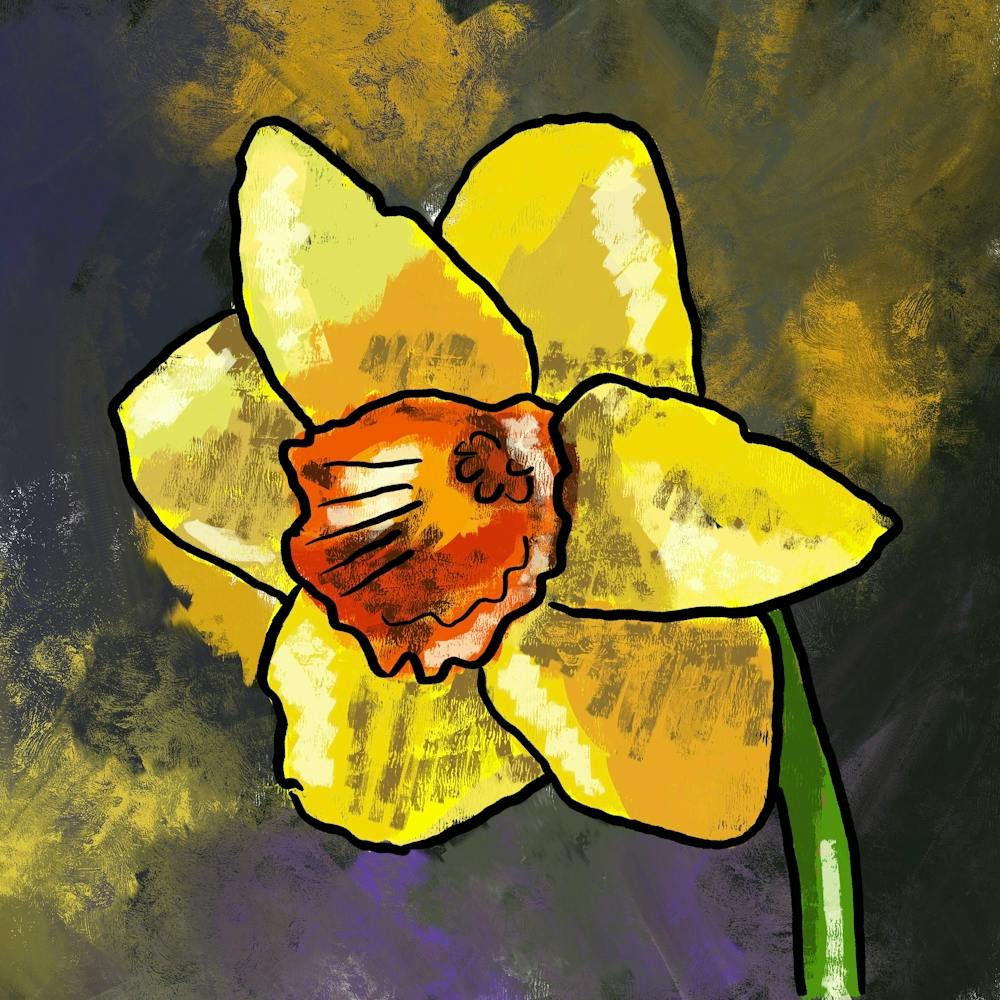 Daffodil
