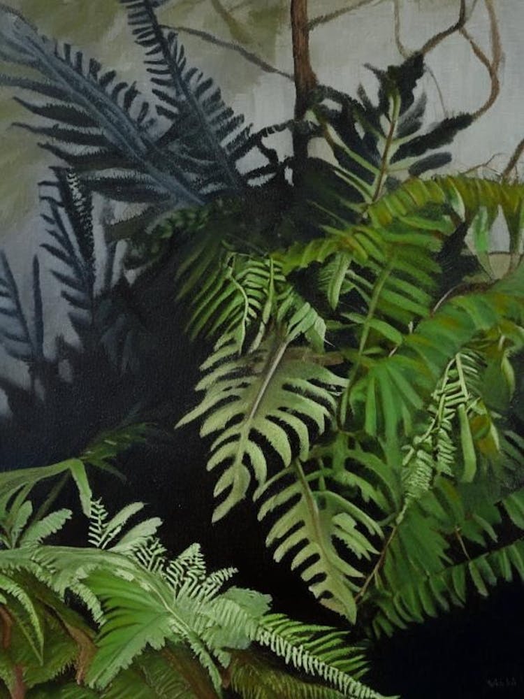 Ebony Spleenwort Cézanne Style