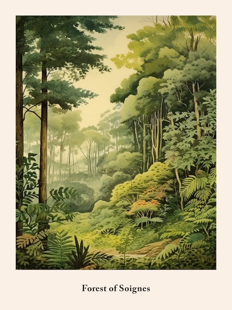 Forest Of Soignes
