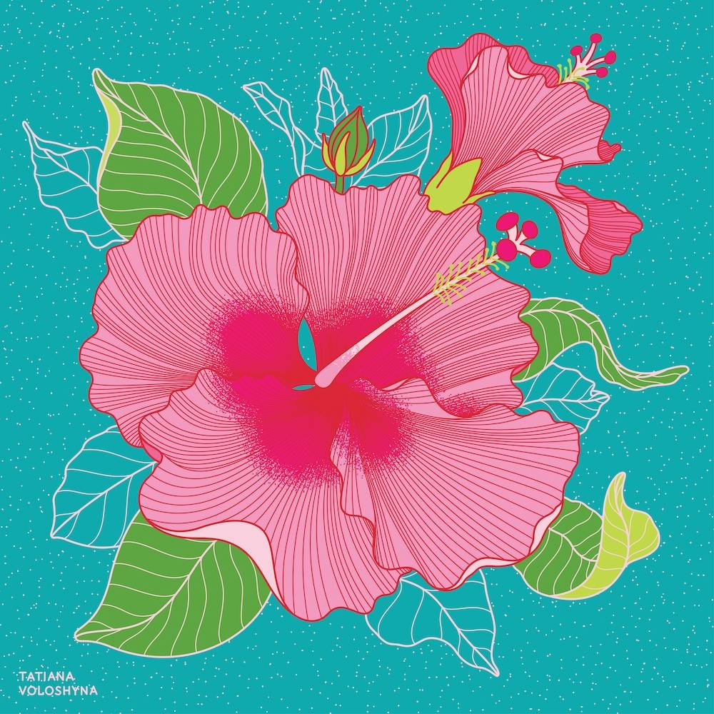 Fleurs d'hibiscus Carré
