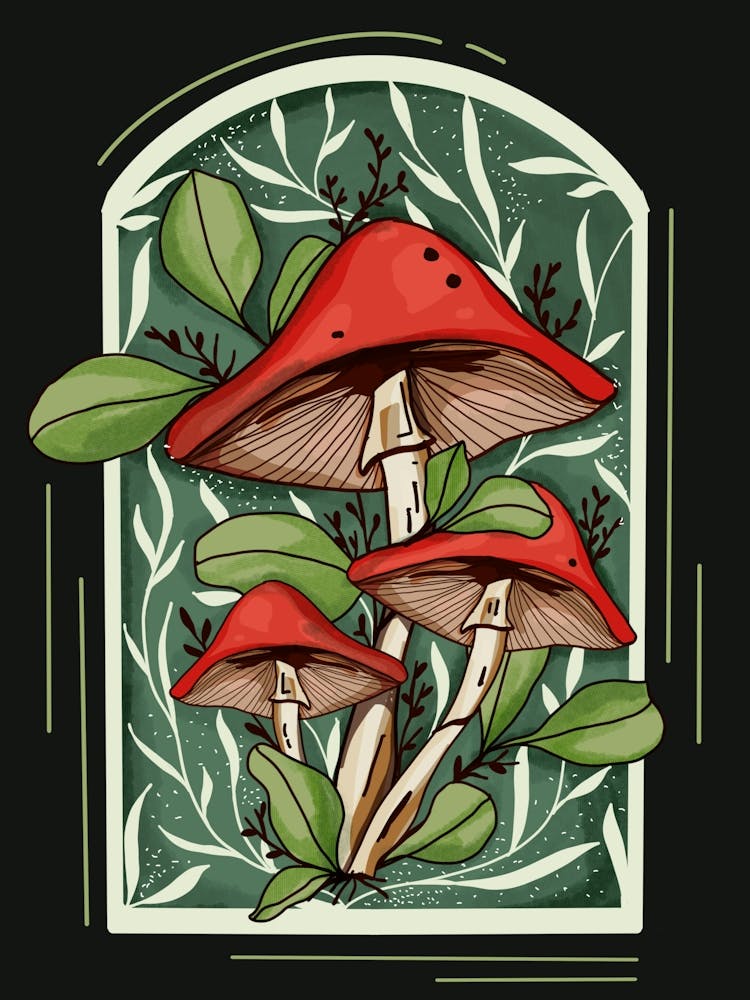 Mushroom Wonderland