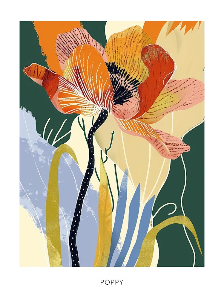 Illustration de Fleur Colorée Affiche Coquelicot 4
