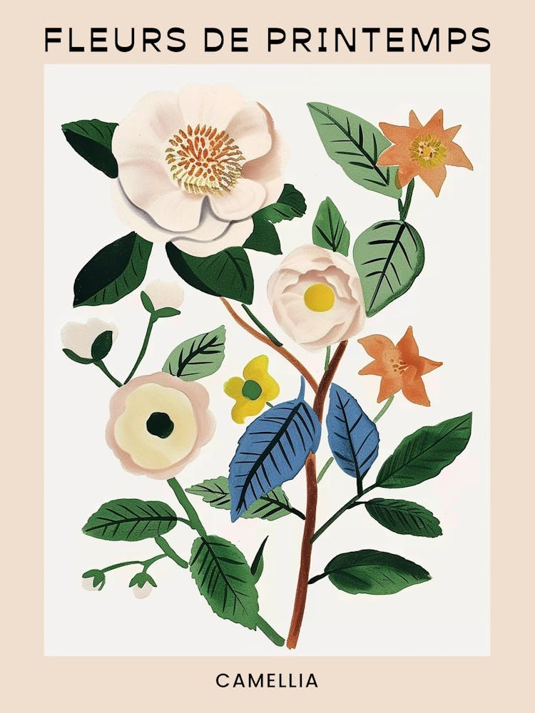 Spring Floral French Poster  Camellia 3