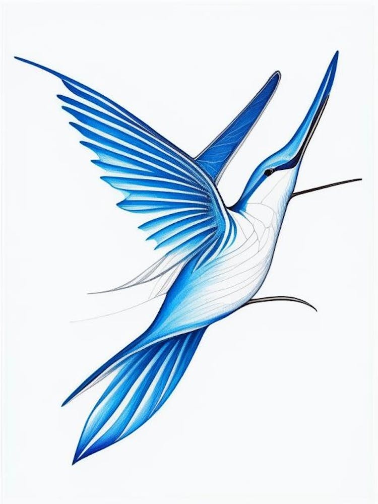 Hummingbird Symbol 3 Blue And White Line Drawing