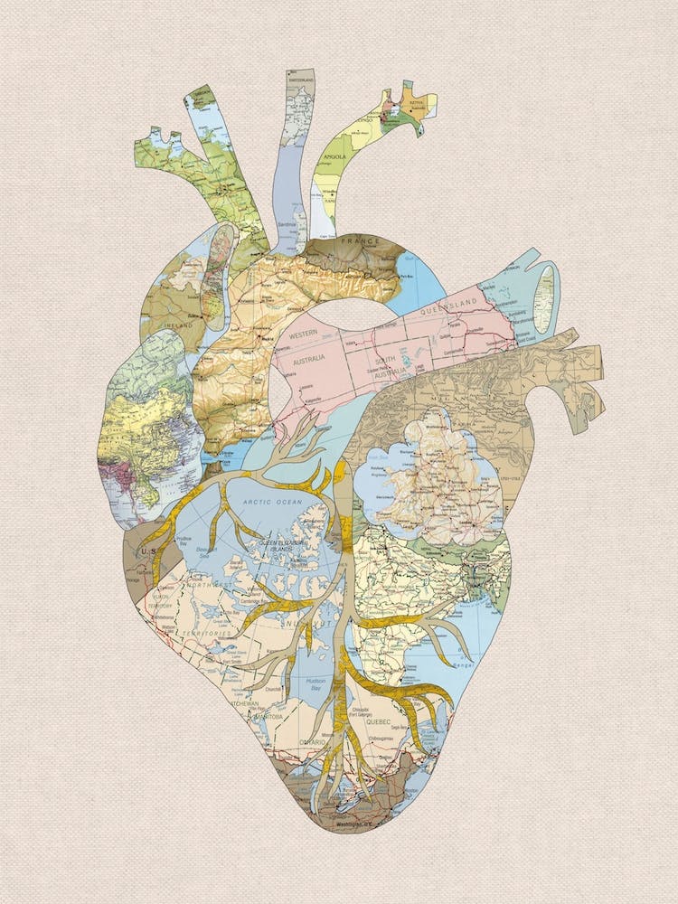 A Traveller's Heart in