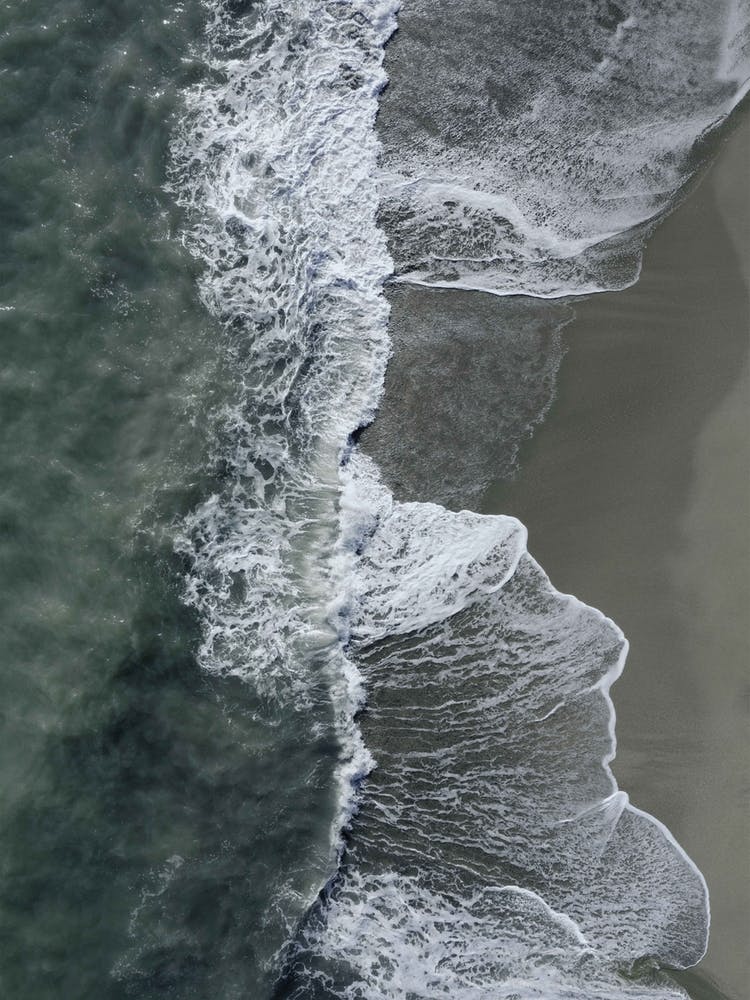 Wild Waves