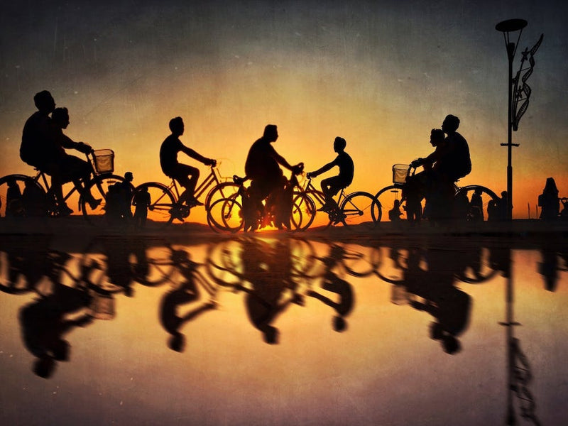 Sunset Silhouettes
