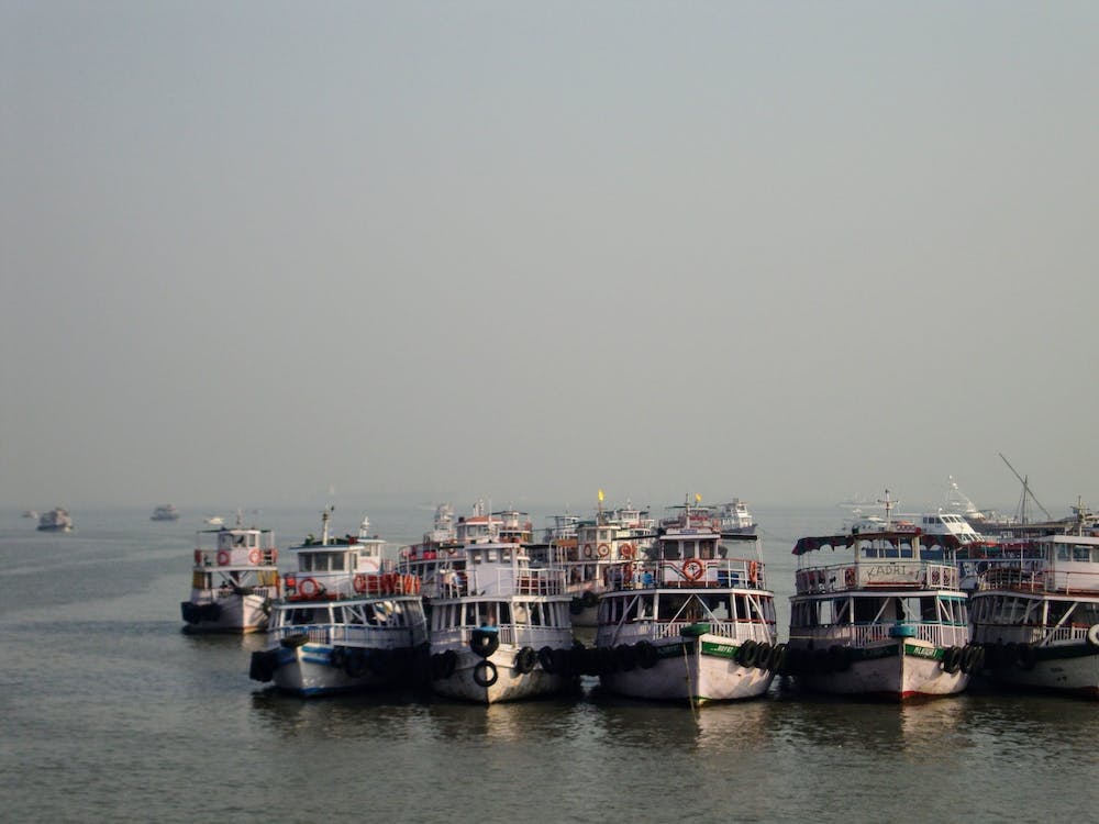 Dsc01355