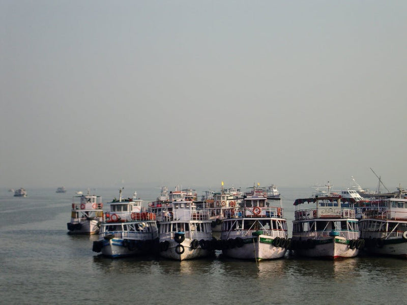 Dsc01355