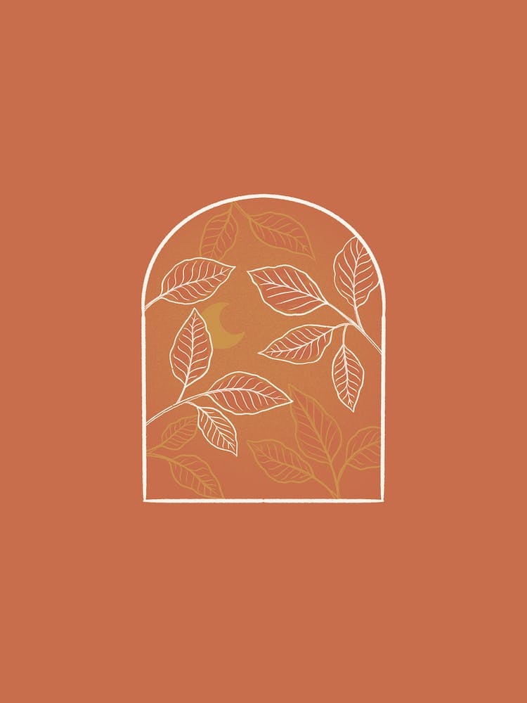 Changing Seasons