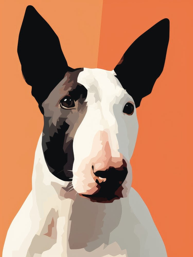 Bull Terrier 7