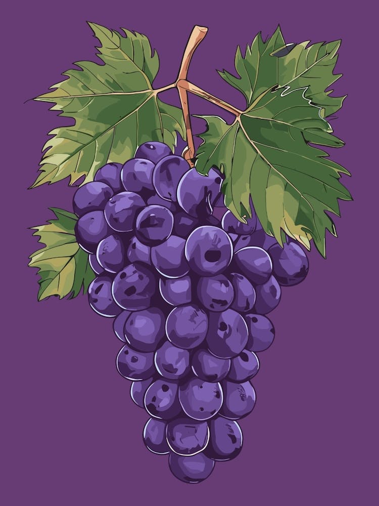 Purple Grapes