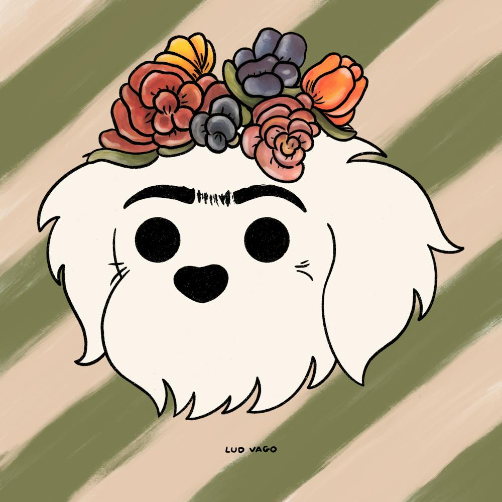 Frida Kahlo Dog