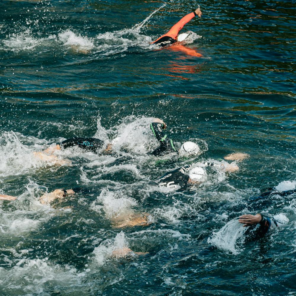 Swimmers In The Water