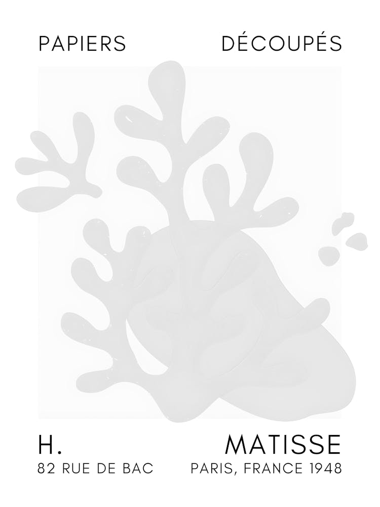 Matisse 45