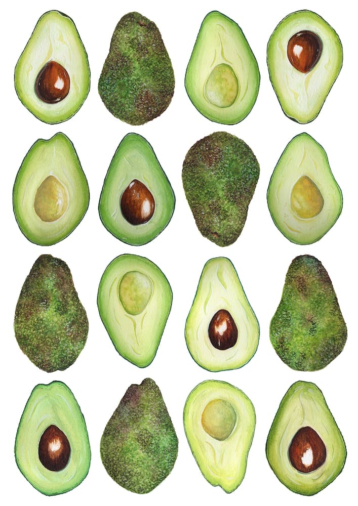 Repeat Pattern Avocado