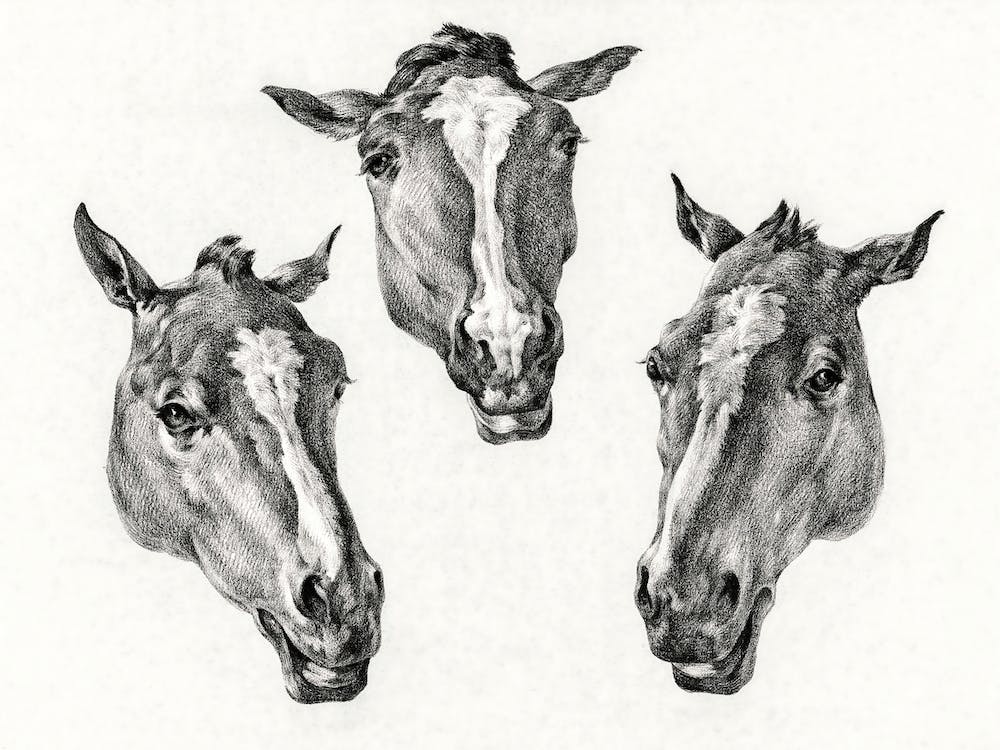 Three Horse Heads, Jean Bernard