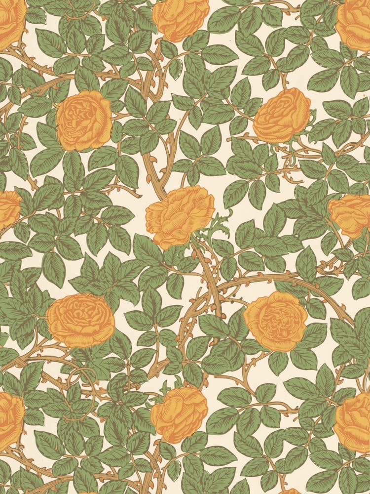 Rose, William Morris