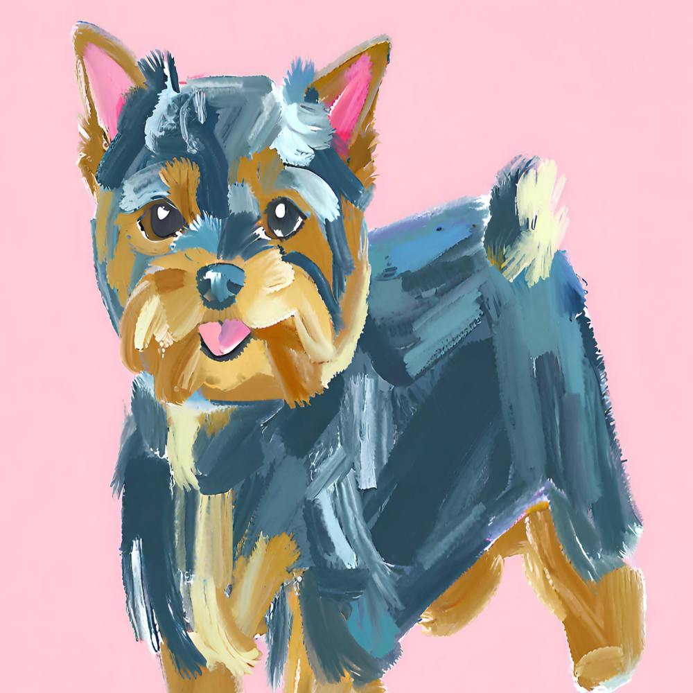Yorkshire Terrier 02
