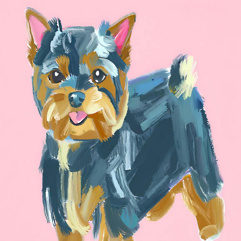 Yorkshire Terrier 02