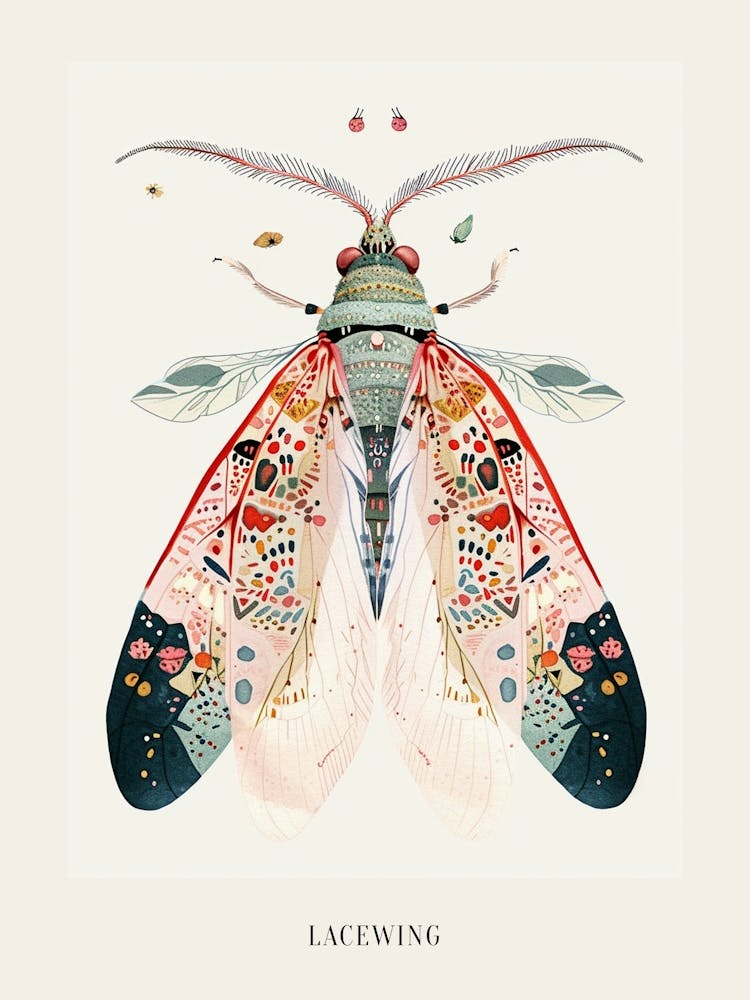 Colourful Insect Illustration Lacewing 12 Poster