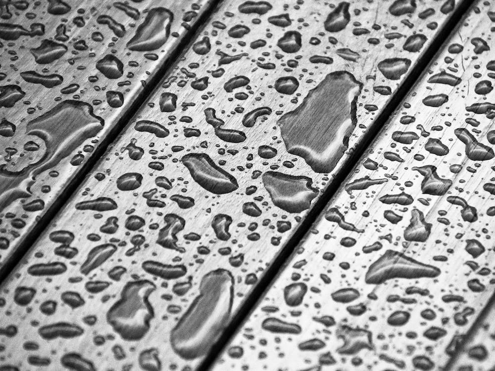 Drop Puddles Bw