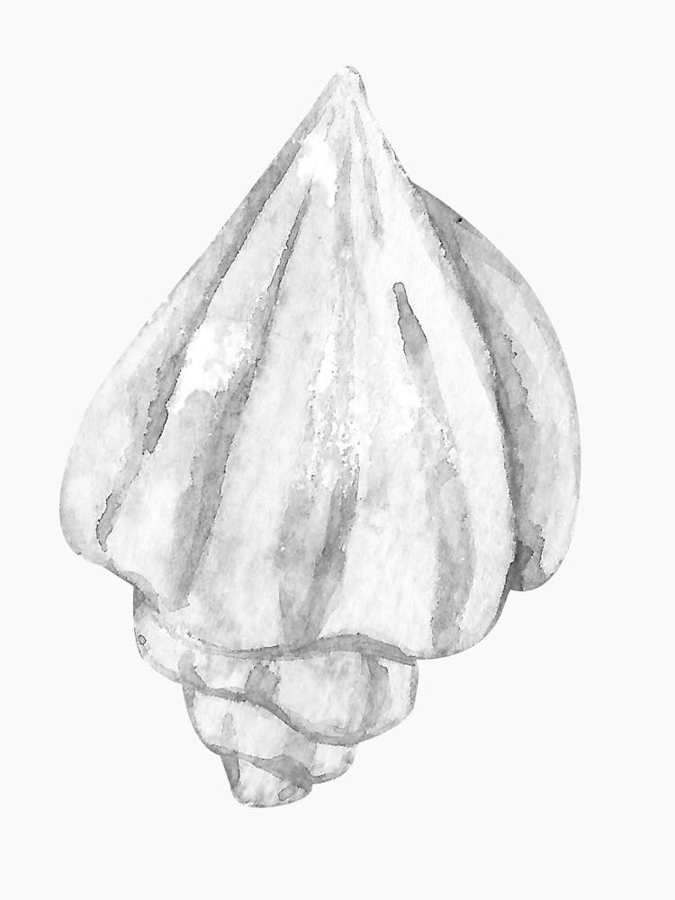 Watercolor Sea Shell 1