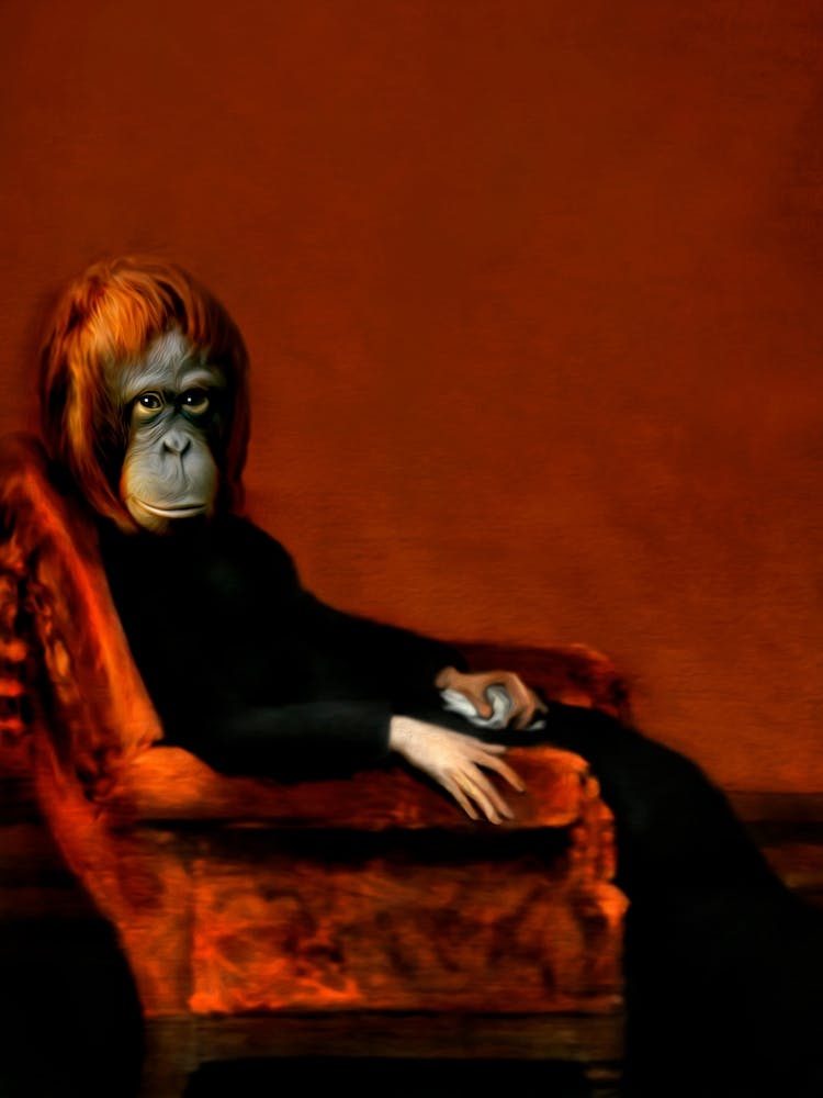 Extraordinary Fae The Urang Utang Pet Portraits