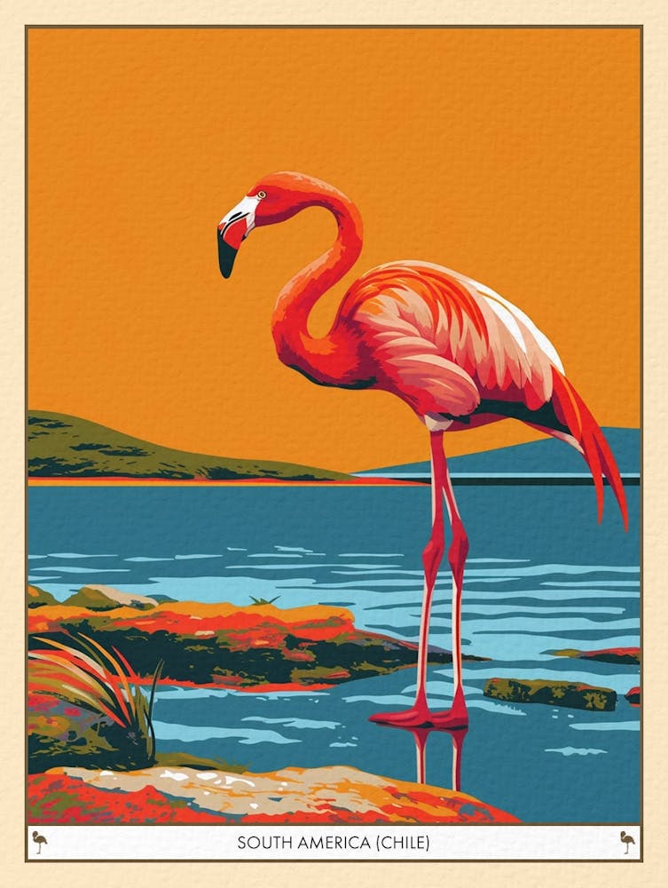 Grand Flamant Amérique du Sud Chili Illustration Tropicale 1 Affiche