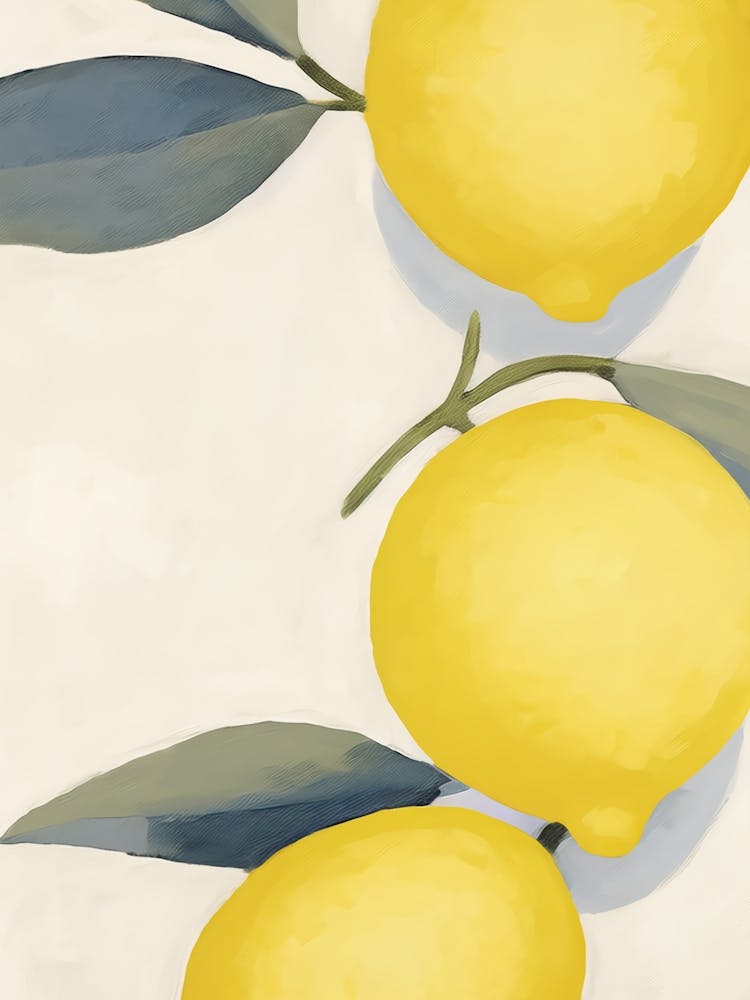 Boho Bella Vita 17 Lemons 4