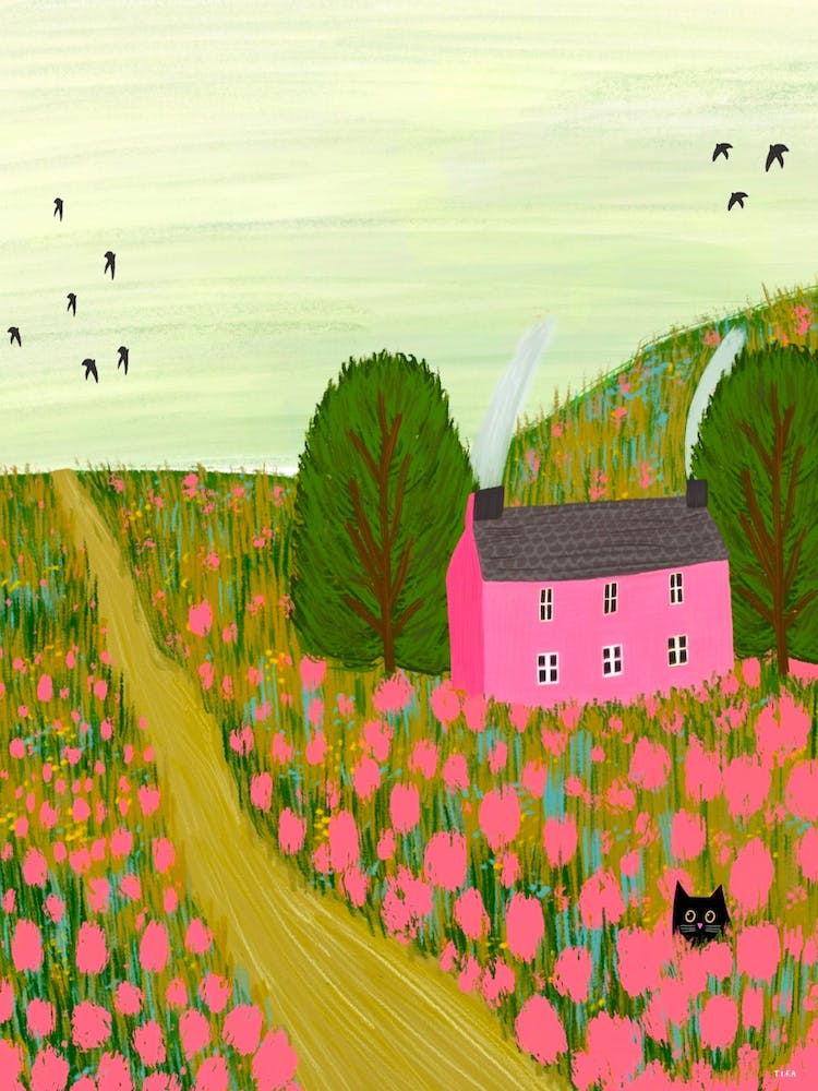 Pink House