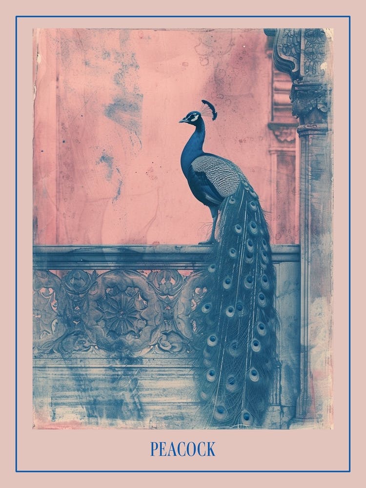 Pink & Blue Peacock In A Palace Poster