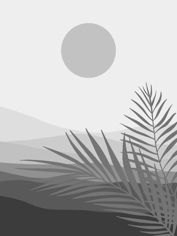 Palm Leaves In The Sun