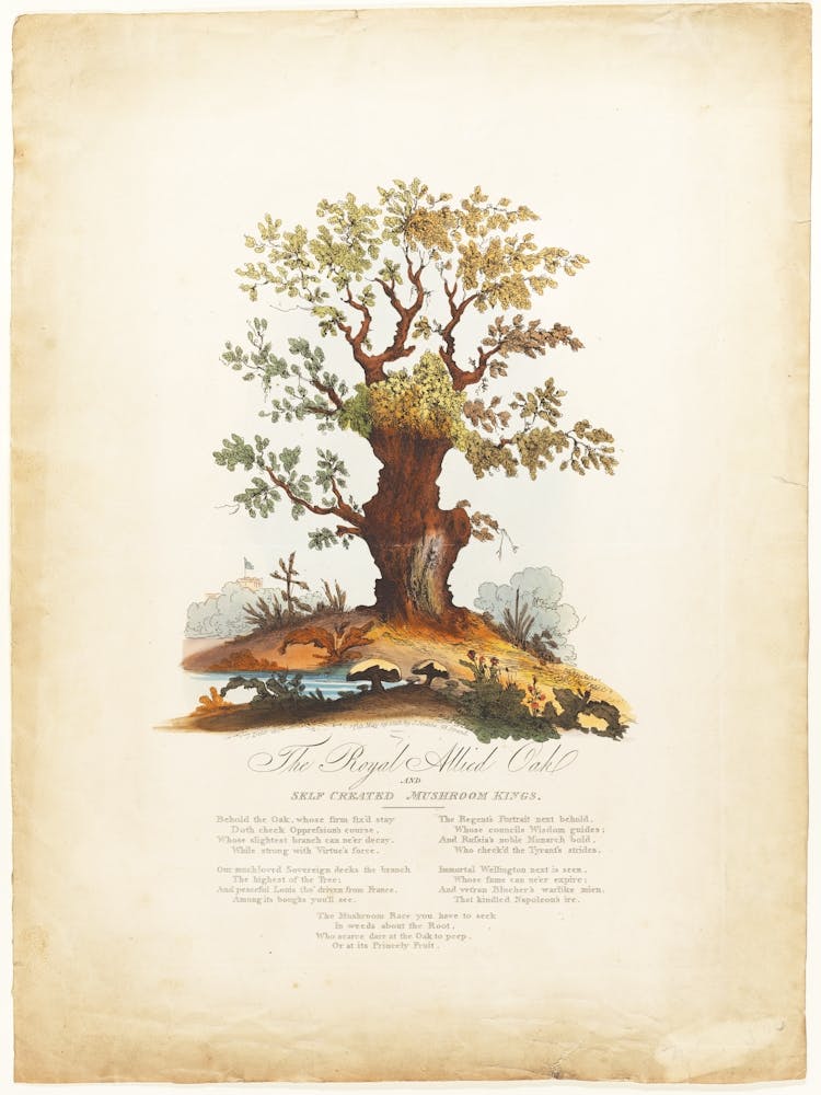 The Royal Allied Oak And Self Created Mushroom Kings, James Heath