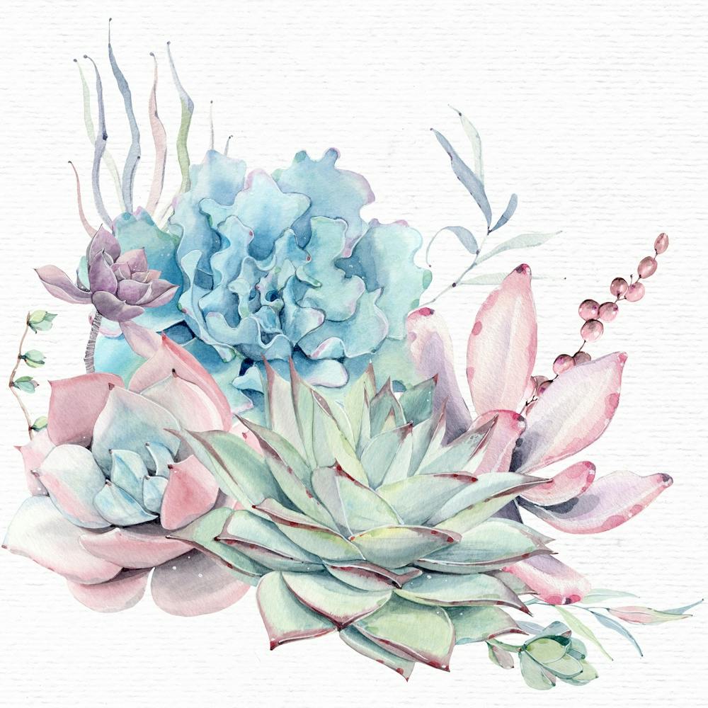 Succulent Cactus Watercolor Painting
