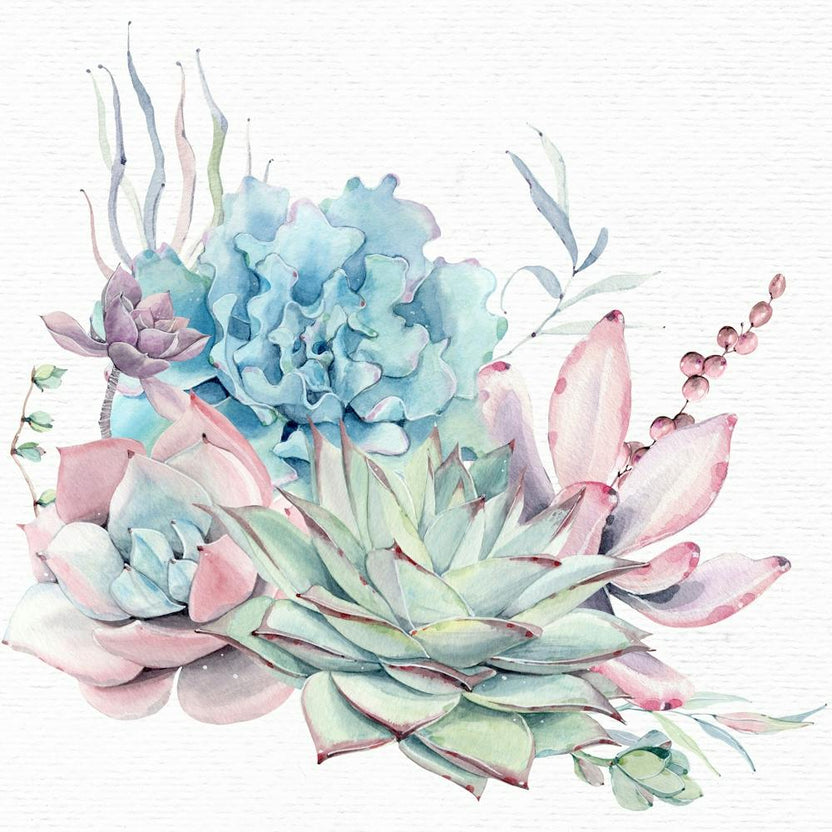 Succulent Cactus Watercolor Painting