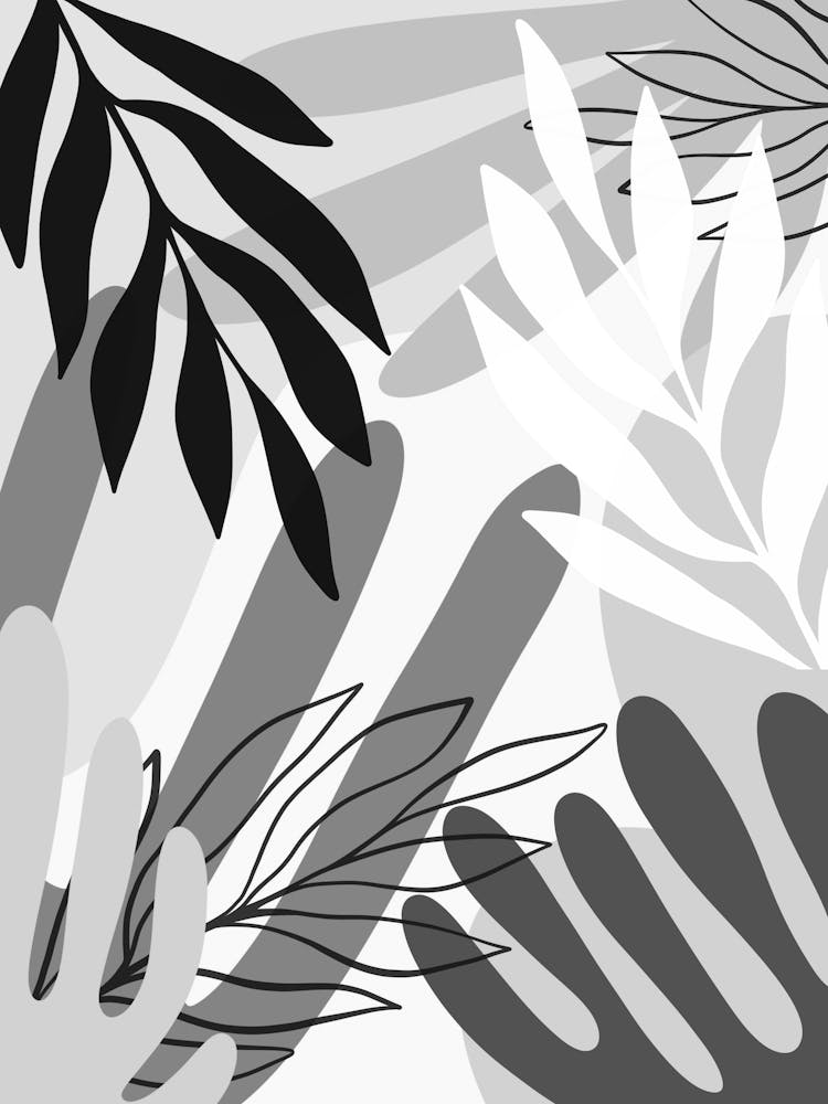 Abstract Black And White Leaves 6