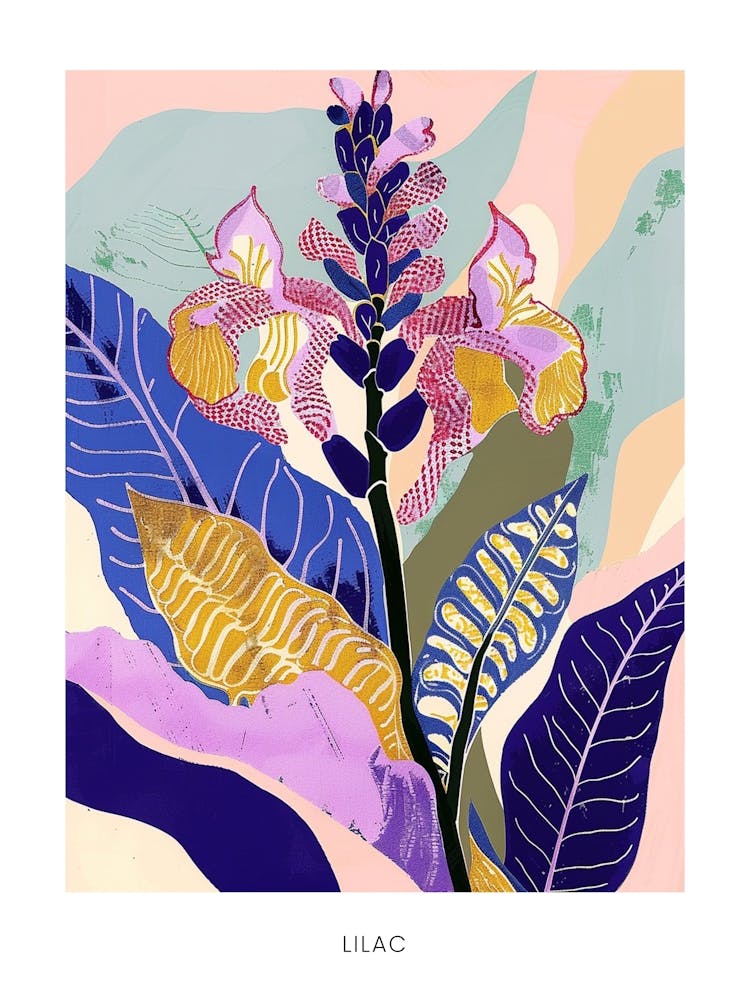 Colourful Flower Illustration Poster Lilac 1