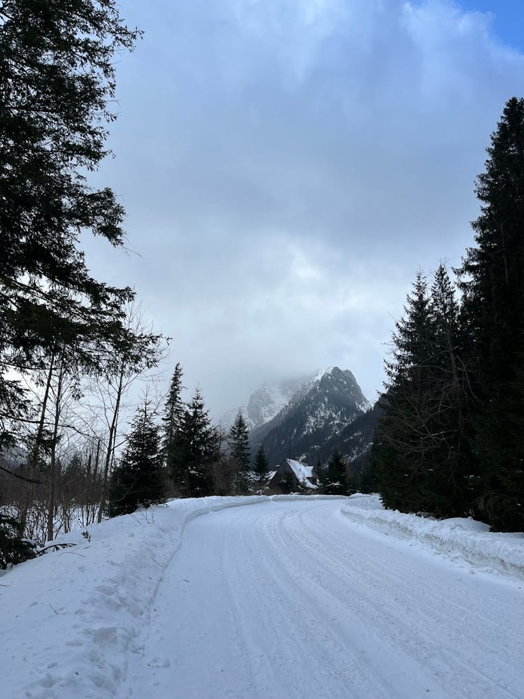 Snowy Road In The Mountains