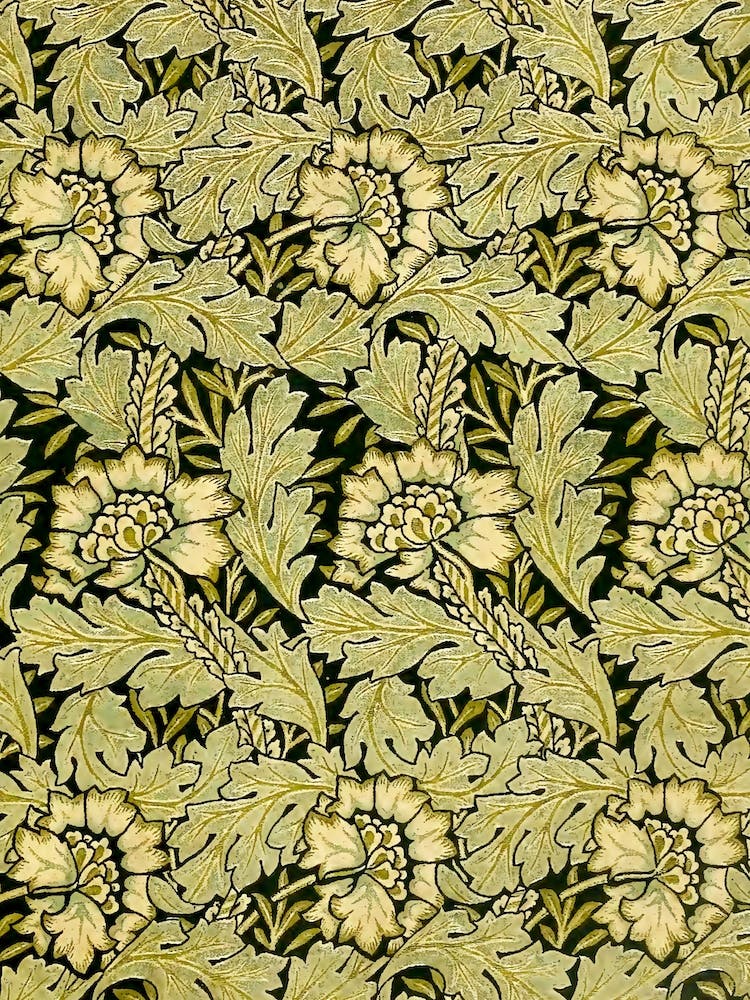 Anemone, William Morris