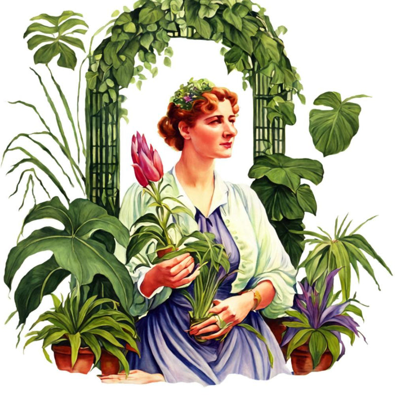 Woman with Plants in Front of Archway