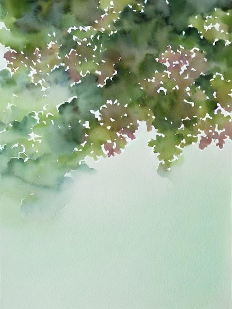 Acropora Gemmifera Iiii Storybook Watercolour